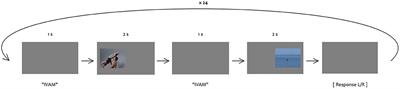 Motion iconicity in prosody